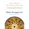 From Whom No Secrets Are Hid: Introducing the Psalms - Paperback