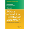 A Course on Small Area Estimation and Mixed Models: Methods, Theory and Applications in R - Paperback