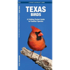 Texas Birds: A Folding Pocket Guide to Familiar Species