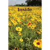 Inside - Paperback