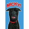 Micky! - Hardcover