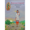 Feminine Conquest: How a Real Woman and an Imaginary Virgin changed the history of Mexico - Paperback