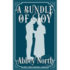 A Bundle Of Joy: A Sweet Pride & Prejudice Variation - Paperback