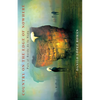 Country on the Edge of Nowhere: Pais al Borde de la Nada - Paperback