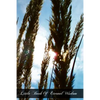 Little Book Of Eternal Wisdom - Paperback