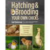 Hatching & Brooding Your Own Chicks: Chickens, Turkeys, Ducks, Geese, Guinea Fowl - Paperback