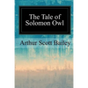 The Tale of Solomon Owl - Paperback