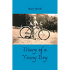 Diary of a Young Boy - Paperback