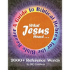 What Jesus Heard: A Guide to Biblical Hebrew for the Bible Reader - Paperback