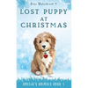 Lost Puppy at Christmas: Amelia's Animals Book 1 - Paperback