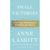 Small Victories: Spotting Improbable Moments of Grace - Hardcover