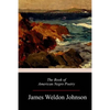 The Book of American Negro Poetry - Paperback