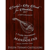 Evelyn's Big Book for Mandolins 2017: A Collection of Tunes for 3 Mandolins - Paperback