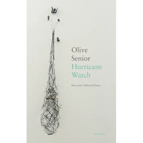 Hurricane Watch: New and Collected Poems - Paperback