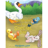 Different Means You're Special, Silly - Hardcover