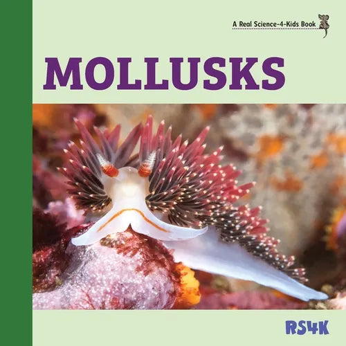 Mollusks - Paperback