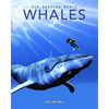 Whales: Amazing Pictures & Fun Facts on Animals in Nature - Paperback