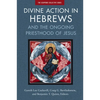 Divine Action in Hebrews: And the Ongoing Priesthood of Jesus - Paperback