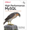 High Performance MySQL: Proven Strategies for Operating at Scale - Paperback