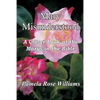 Mary Misunderstood: A Closer Look at the Marys in the Bible - Paperback