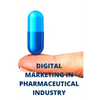 Digital Marketing in Pharmaceutical Industry: Pharma Digital Marketing - Paperback