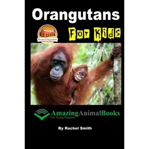 Orangutans For Kids - Paperback