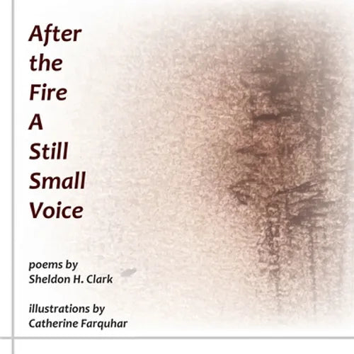 After the Fire A Still Small Voice - Paperback