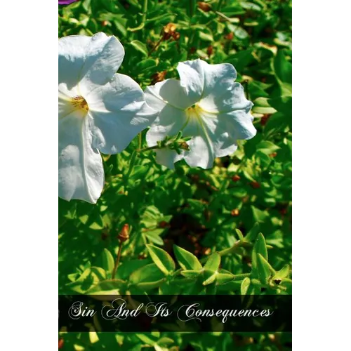 Sin And Its Consequences - Paperback