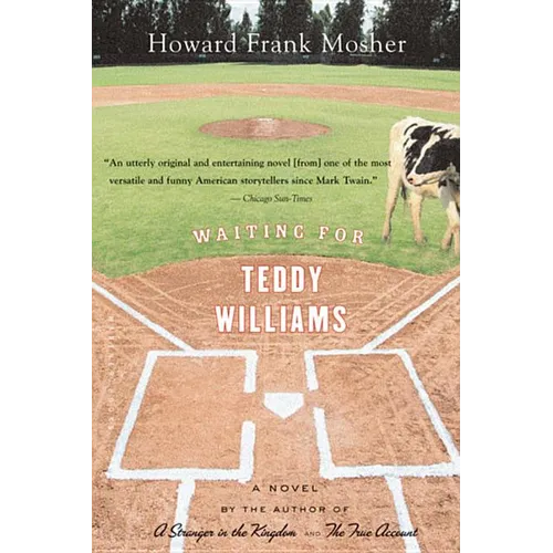 Waiting for Teddy Williams - Paperback