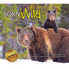 Born Wild 2: In Yellowstone and Grand Teton National Parks - Paperback