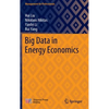 Big Data in Energy Economics - Hardcover