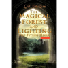 The Magical Forest and Lighting the Flying Horse: Children Story - Paperback