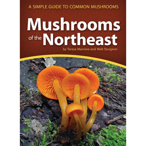 Mushrooms of the Northeast: A Simple Guide to Common Mushrooms - Paperback