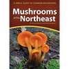 Mushrooms of the Northeast: A Simple Guide to Common Mushrooms - Paperback