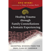 Healing Trauma Through Family Constellations and Somatic Experiencing: Ancestral Wisdom from the Snail Clan of Tanzania - Paperback
