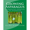 Growing Asparagus: Commercial Growing of Asparagus - Paperback