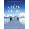 A Clean Heart: A Novel (Alcoholism, Dysfunctional Family, Recovery, Redemption, 12-Steps) - Paperback