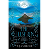 The Wellspring - Paperback