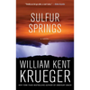Sulfur Springs - Paperback