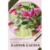 Easter Cactus: Plant Guide - Paperback