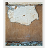 Robert Polidori: Topographical Histories - Hardcover