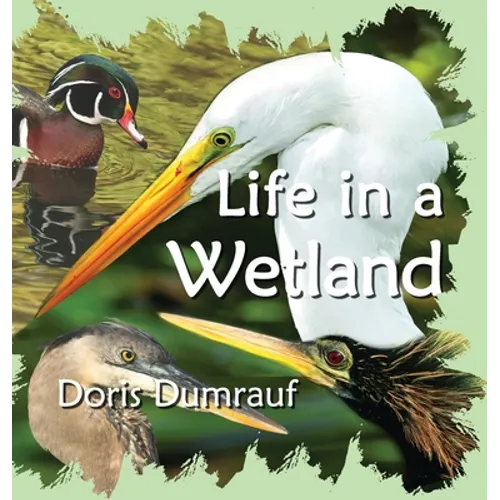 Life In A Wetland - Hardcover