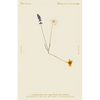 The Hours / Mrs. Dalloway - Paperback