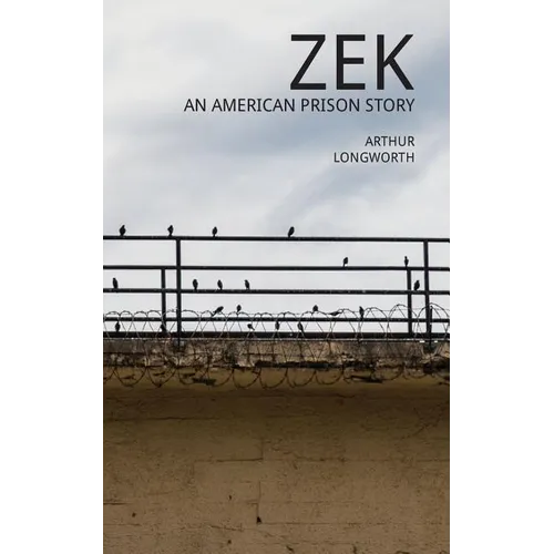 Zek: An American Prison Story - Paperback