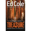 Treasure: Uncovering Principles That Govern Success - Paperback
