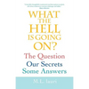 What The Hell Is Going On? The Question, Our Secrets, Some Answers - Paperback