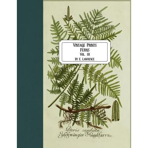 Vintage Prints: Ferns: Vol. 10 - Paperback