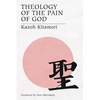 Theology of the Pain of God - Paperback