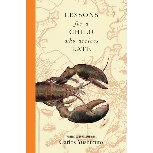 Lessons for a Child Who Arrives Late - Paperback