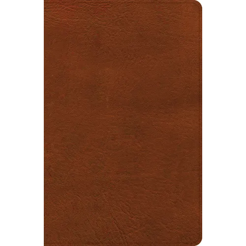 CSB Thinline Bible, Burnt Sienna Leathertouch - Imitation Leather